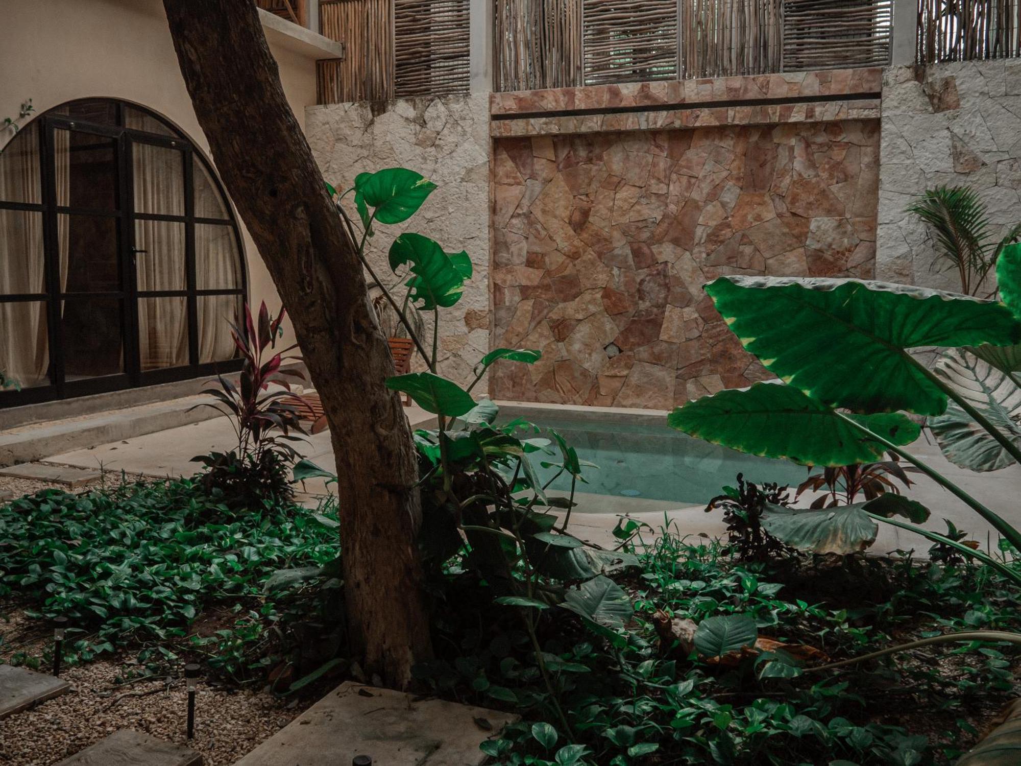 الشقق الفندقية Casa Kobaab تولوم المظهر الخارجي الصورة