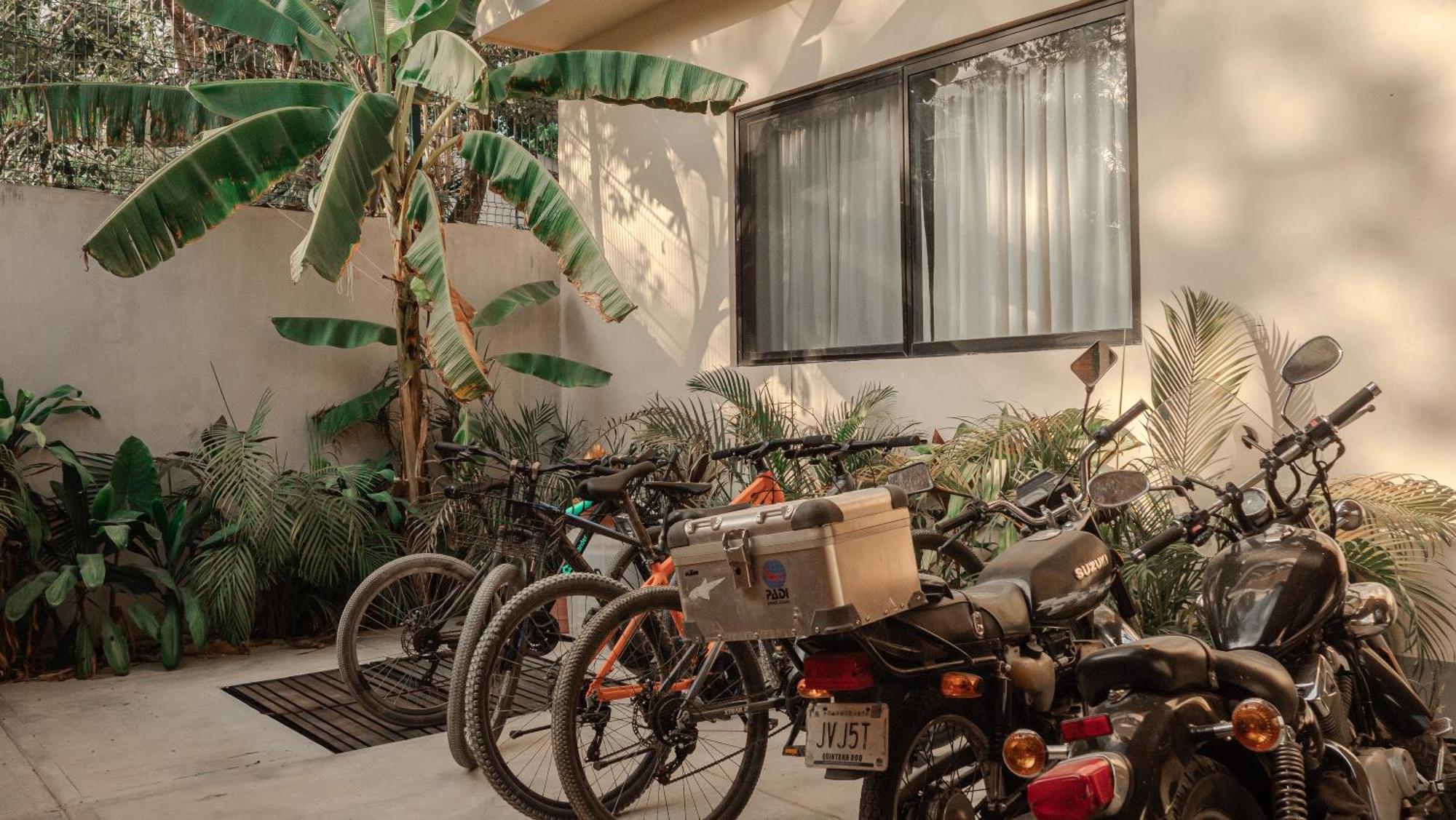 الشقق الفندقية Casa Kobaab تولوم المظهر الخارجي الصورة